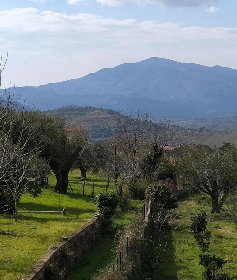 Azienda Agricola Cafaro Grazia - Cilens Aurea Villa Vallo della Lucania Exterior foto